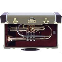 Getzen Cornet Sib Eterna Deluxe verni - Vue 4